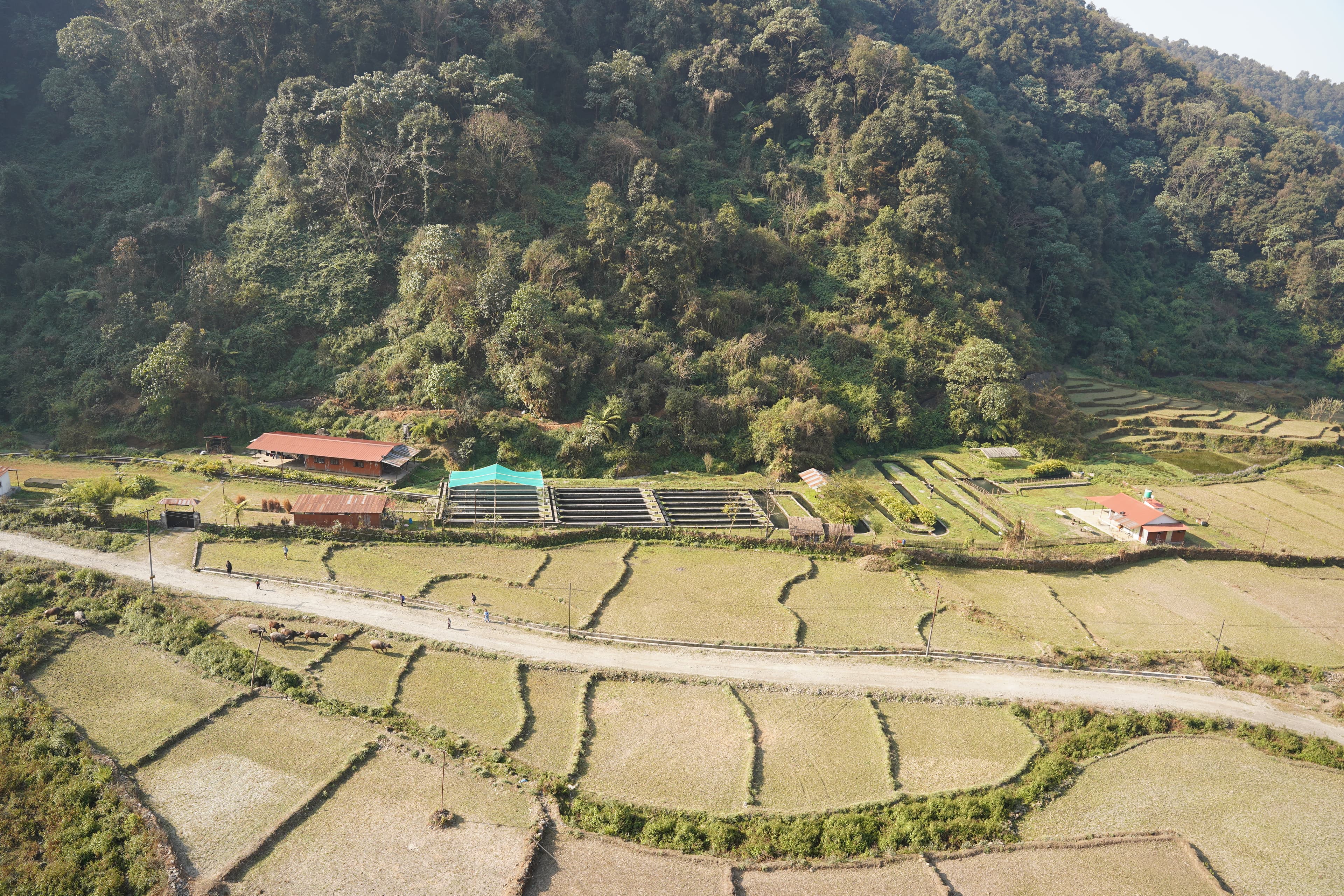 Aerial view of Indreni Trout Farm